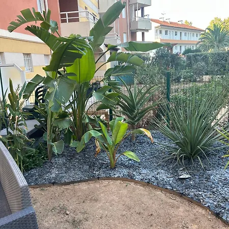 Escale Port Vue Esterel Frejus